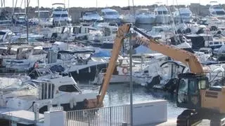 El Club Náutico Can Picafort afirma que la retirada de posidonia se hizo con garantías