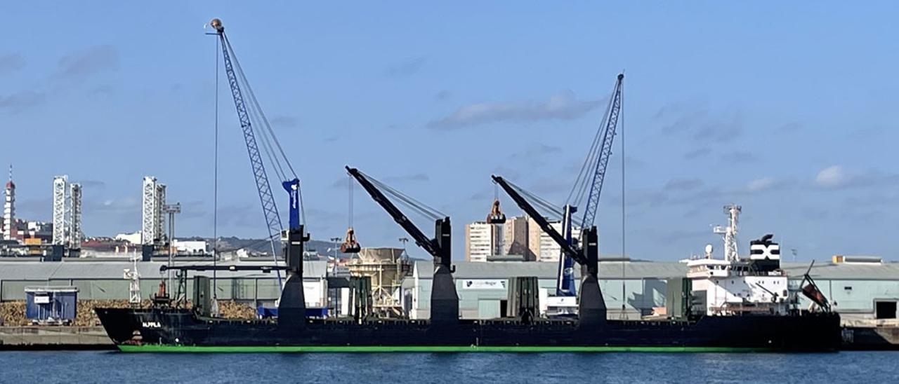 El ‘Alppila’ atraca en el puerto de A Coruña cargado con maíz procedente de Ucrania.