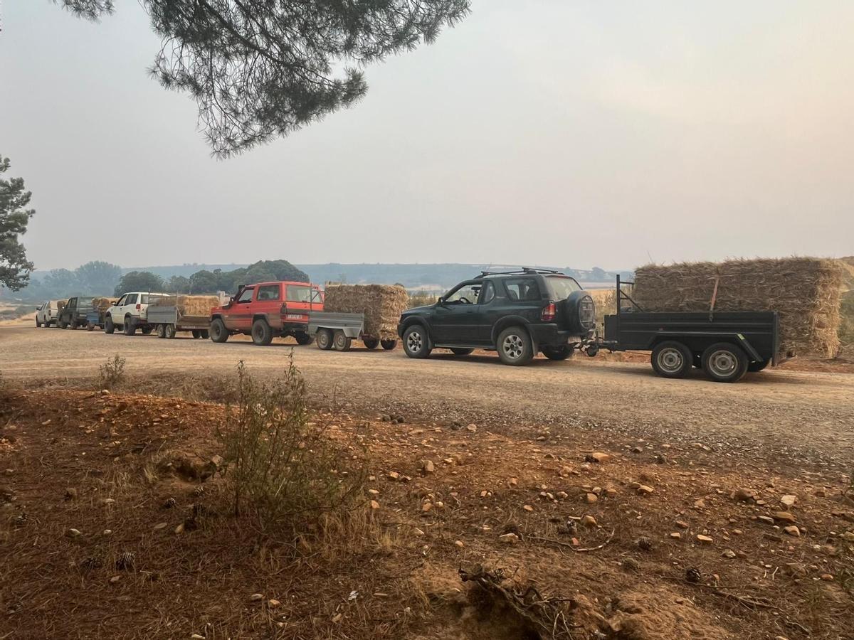 Remolques cargados de paja para alimentar a la fauna salvaje en los terrenos afectados por los incendios en la provincia de Zamora.