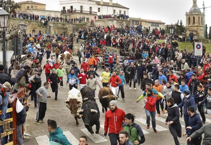 Festejos del Carnaval del Toro