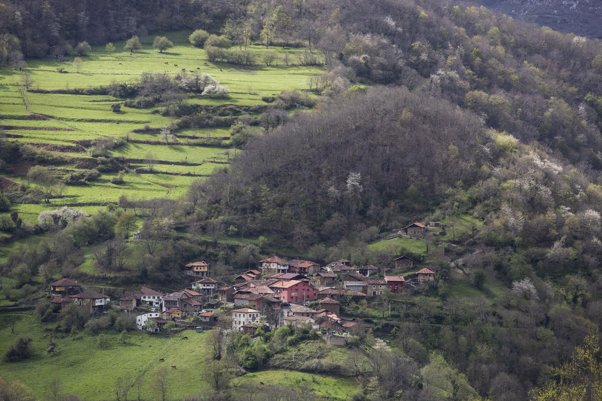 Asturianos en Ponga: un recorrido por el municipio