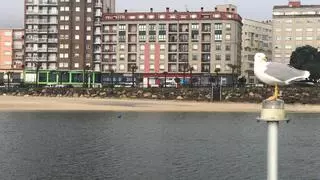 Alertan de un vertido de combustible en la playa de Coroso (Ribeira)