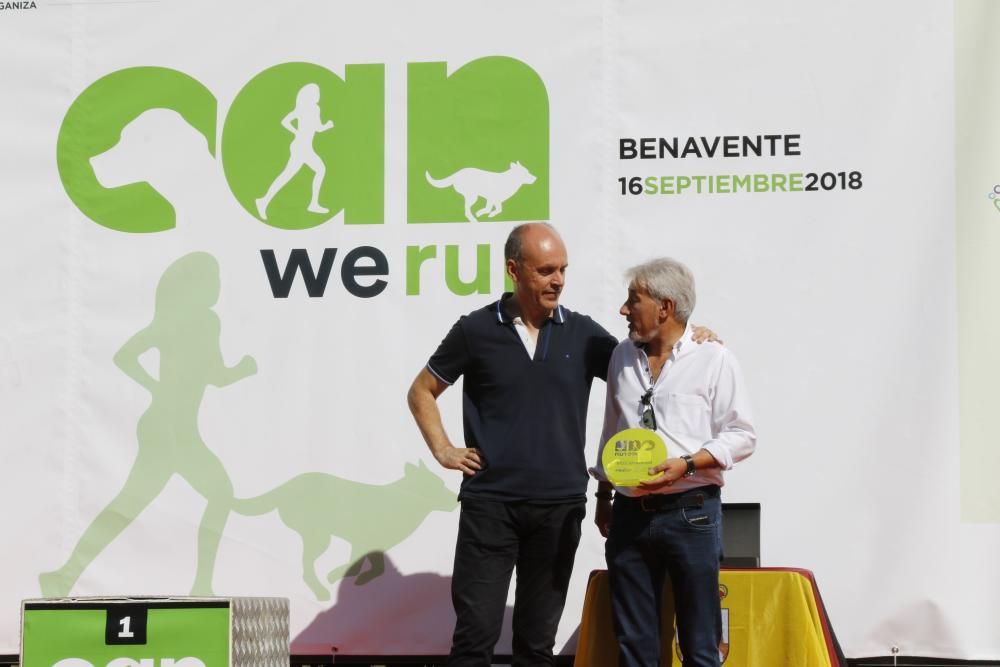 Can We Run Benavente 2018