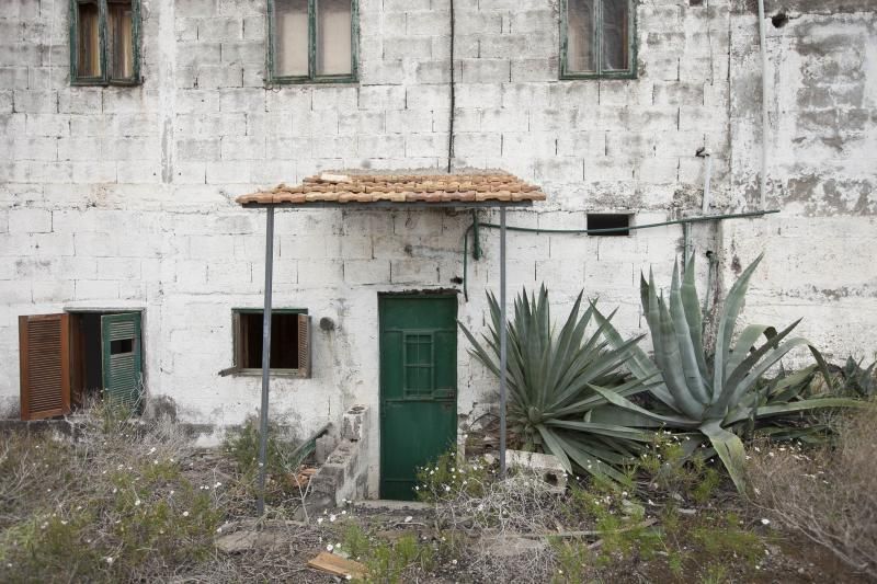 Finca de Arona donde han hallado animales muertos