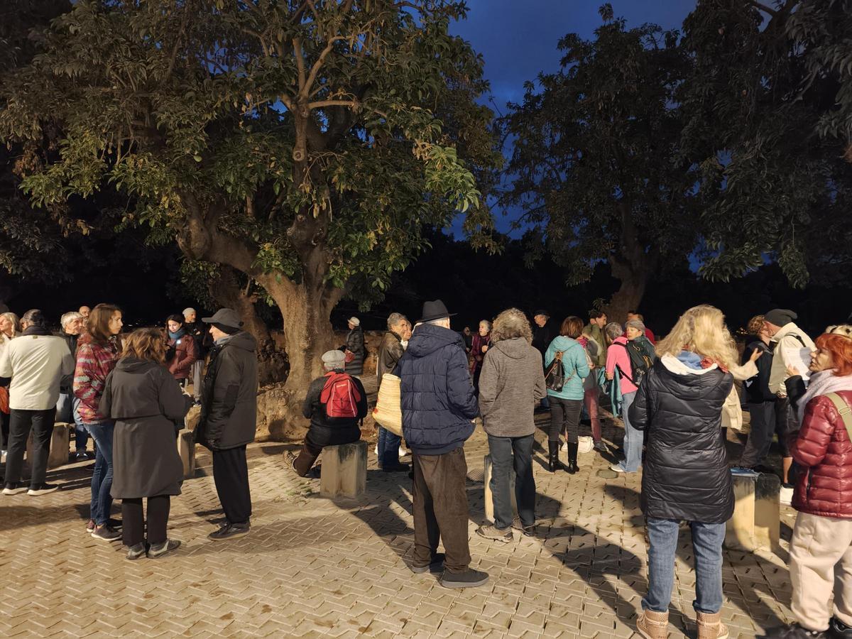 Más de 80 vecinos de la plaza Llorenç Villalonga se encadenan para impedir la tala de los bellasombra