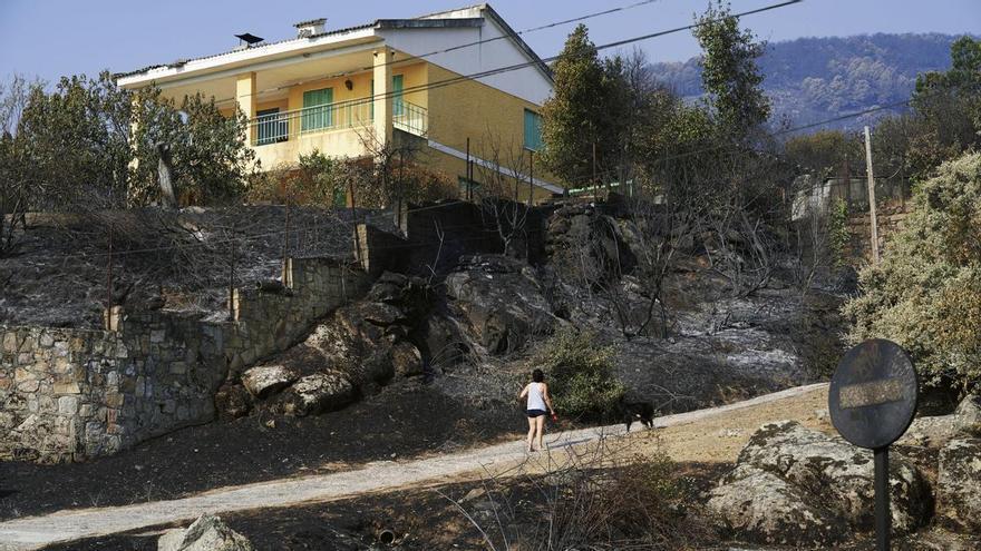 Última hora de los incendios en España, en directo | El incendio de la sierra oeste de Madrid se ha mantenido sin reproducciones durante toda la noche