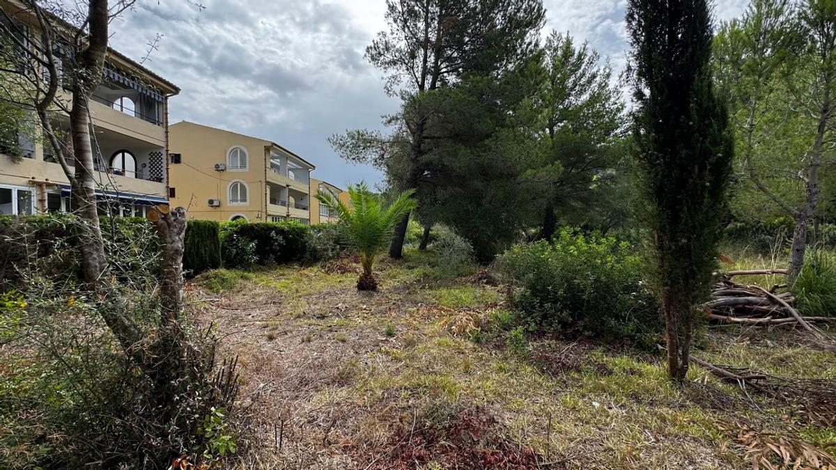 Imagen del solar donde se construirá la promoción del Port de Pollença.