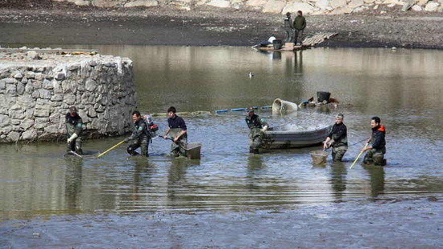 Puigcerdà treu els peixos d&#039;espècies invasores del llac i el torna a omplir