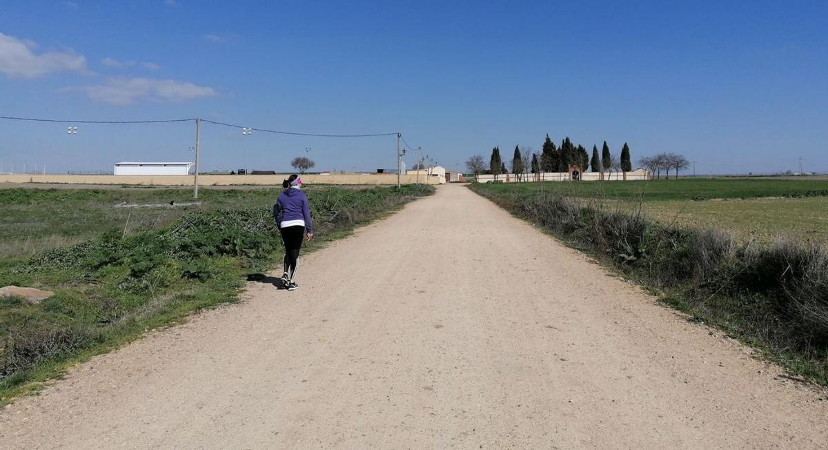 Toro presupuesta para 2025 una cifra récord en inversiones de 3,4 millones