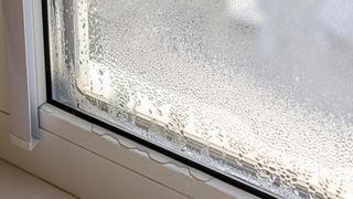 Así puedes evitar la condensación en las ventanas y la aparición de moho en tu hogar