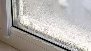 Así puedes evitar la condensación en las ventanas y la aparición de moho en tu hogar