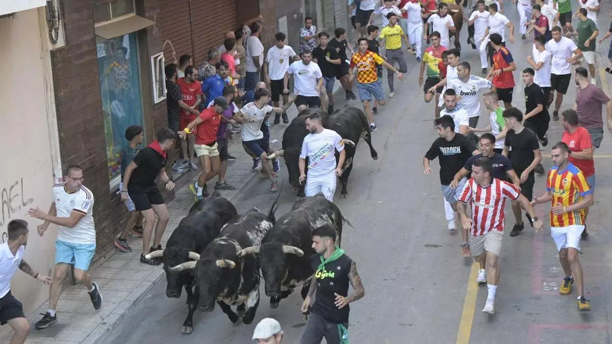 Les Penyes en Festes logran una respuesta multitudinaria para un encierro rápido que deja un corneado en una exhibición posterior