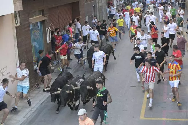 Algunos de las imágenes que ha dejado el encierro de Espartado de les Penyes en Festes de la Vall d'Uixó