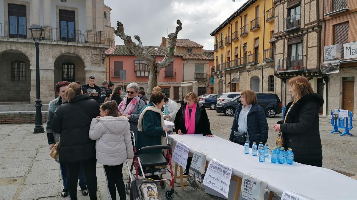 Toresanos retiran el bocadillo en una edición anterior de la iniciativa de Manos Unidas