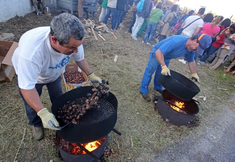 Cientos de vecinos de acercan al entorno del molino de Regueira para disfrutar de una jornada tradicional