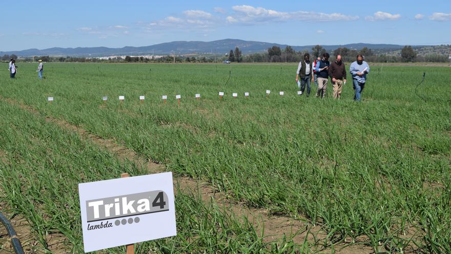 SIPCAM Iberia inaugura el 2023 con el estreno de dos nuevos insecticidas