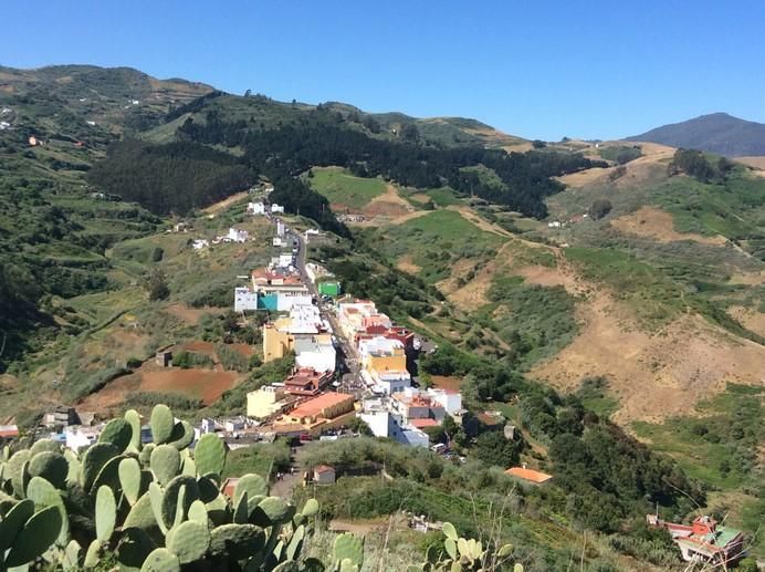 Montaña Alta de Guía celebra los 40 años de la Fiesta de Queso