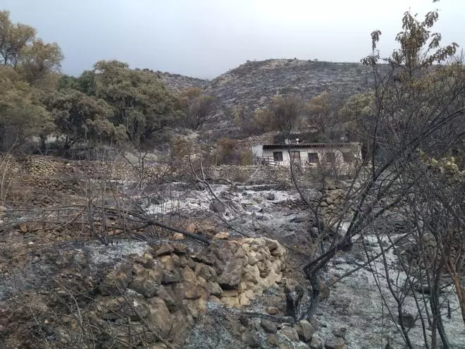 La destrucción del incendio de Tàrbena, en imágenes