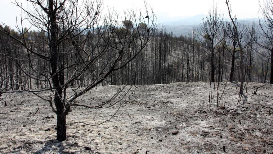 Denunciat un propietari d&#039;una finca per causar accidentalment l&#039;incendi d&#039;Òdena