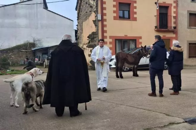 Veneración a San Antonio a la antigua usanza en Domez