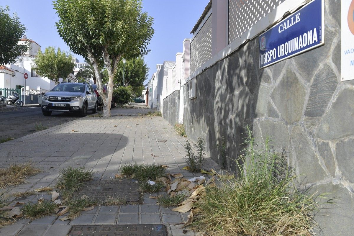 Hierbas en aceras de las calles de Escaleritas