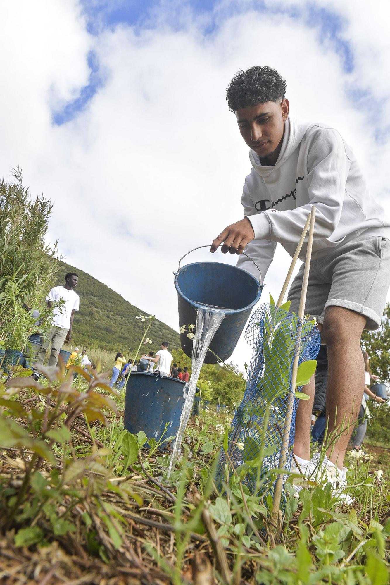 Proyecto 'Sentir La Isleta: convivir para entender'