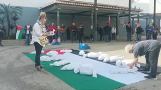 Pedreguer torna a fer cooperació internacional a Palestina