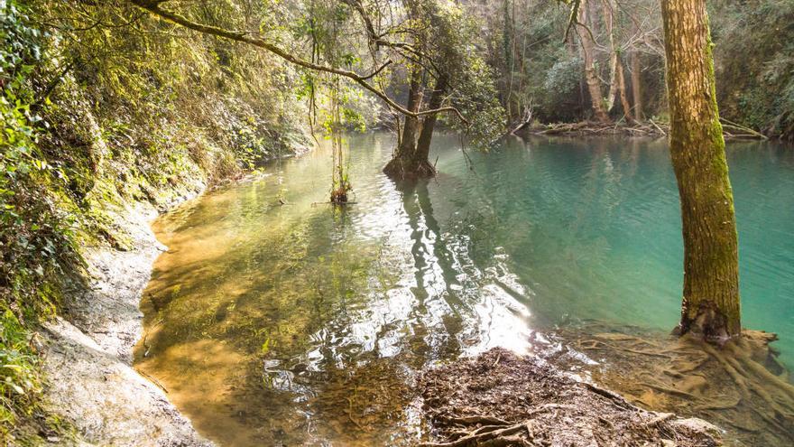 El gorg del Molí dels Murris, situat al terme municipal de les Planes d&#039;Hostoles