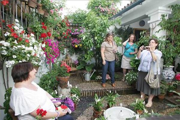 Los Patios y su esplendor, Patrimonio de la Humanidad