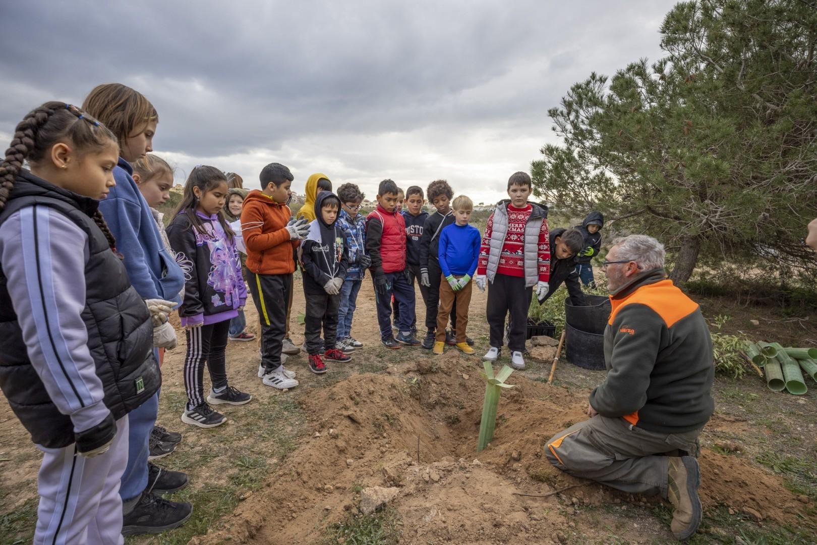 Jornada escolar plantación de especies autóctonas junto al parque natural de las lagunas de Torrevieja y La Mata
