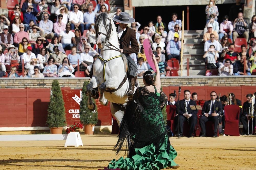 El mundo del caballo contra el cáncer