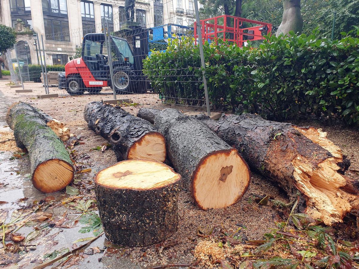 Árboles caídos por el temporal en la Alameda de Vigo