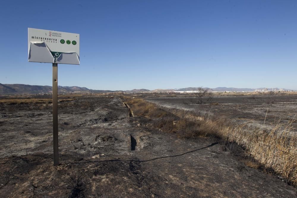 La Marjal dels Moros tras el incendio