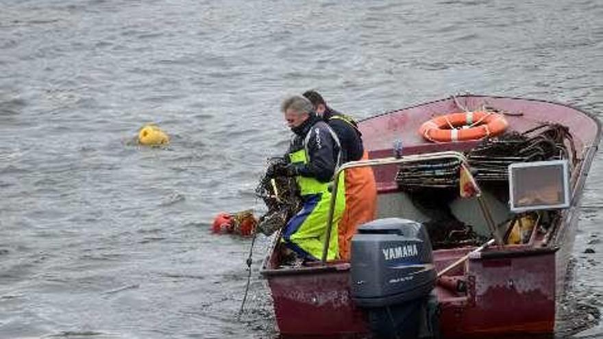 La nasas caladas para el día siguiente  |  Tras levantar, vaciar y limpiar las nasas de lamprea en aguas de Pontecesures es necesario volver a depositarlas en el cauce fluvial y dejarlas pescando hasta el días siguiente.