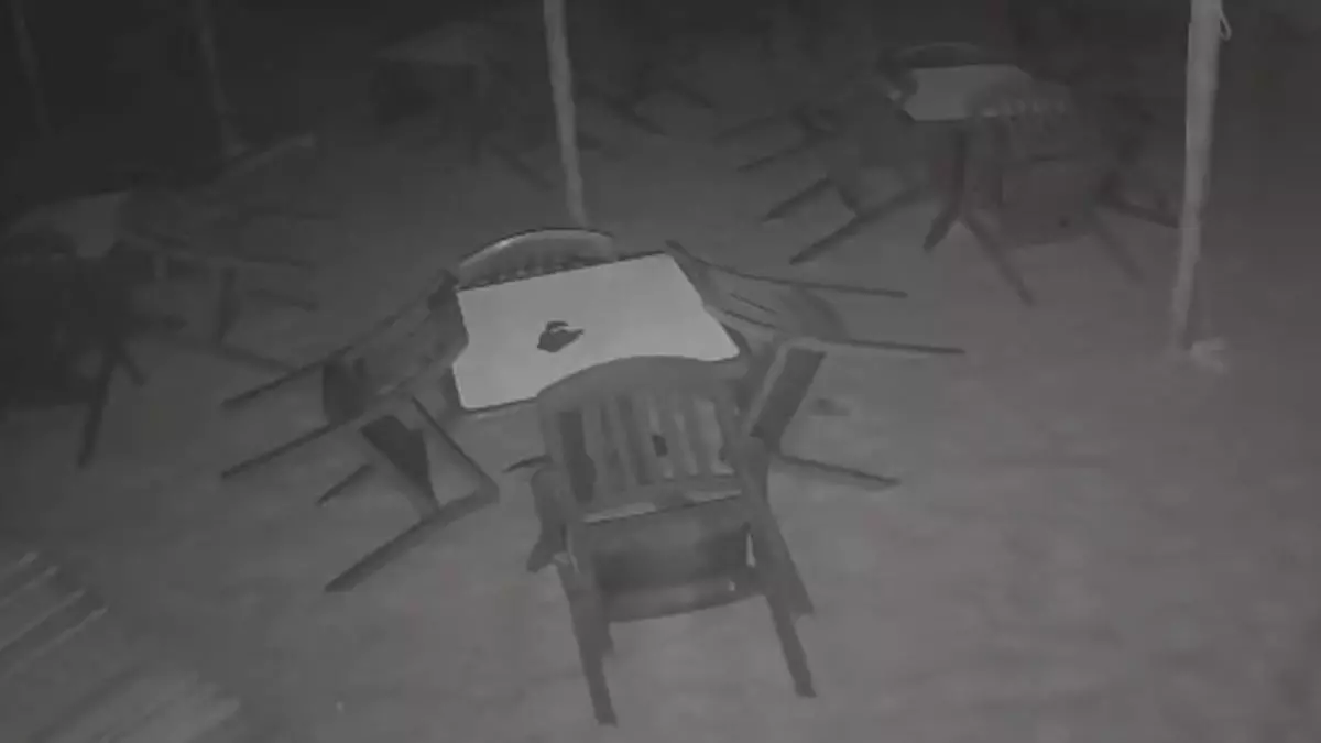 Desarticulada una organización criminal con sede en Sevilla que robaba en bares y restaurantes de Andalucía