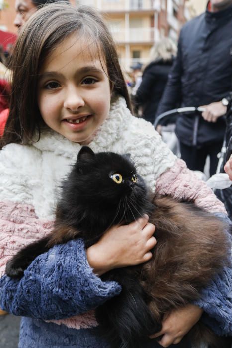 Festividad de Sant Antoni en València