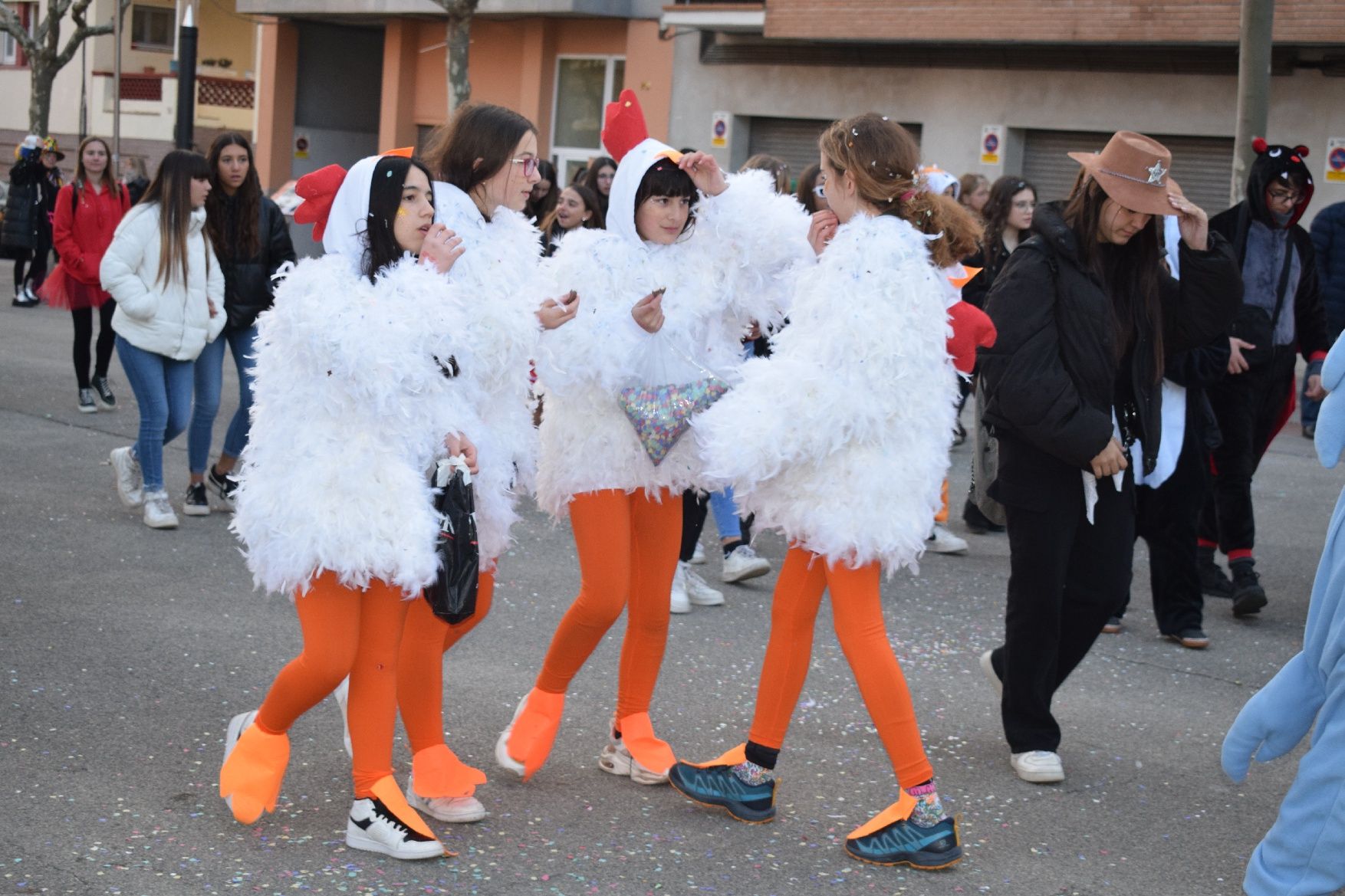 Les imatges del Carnaval de Navàs