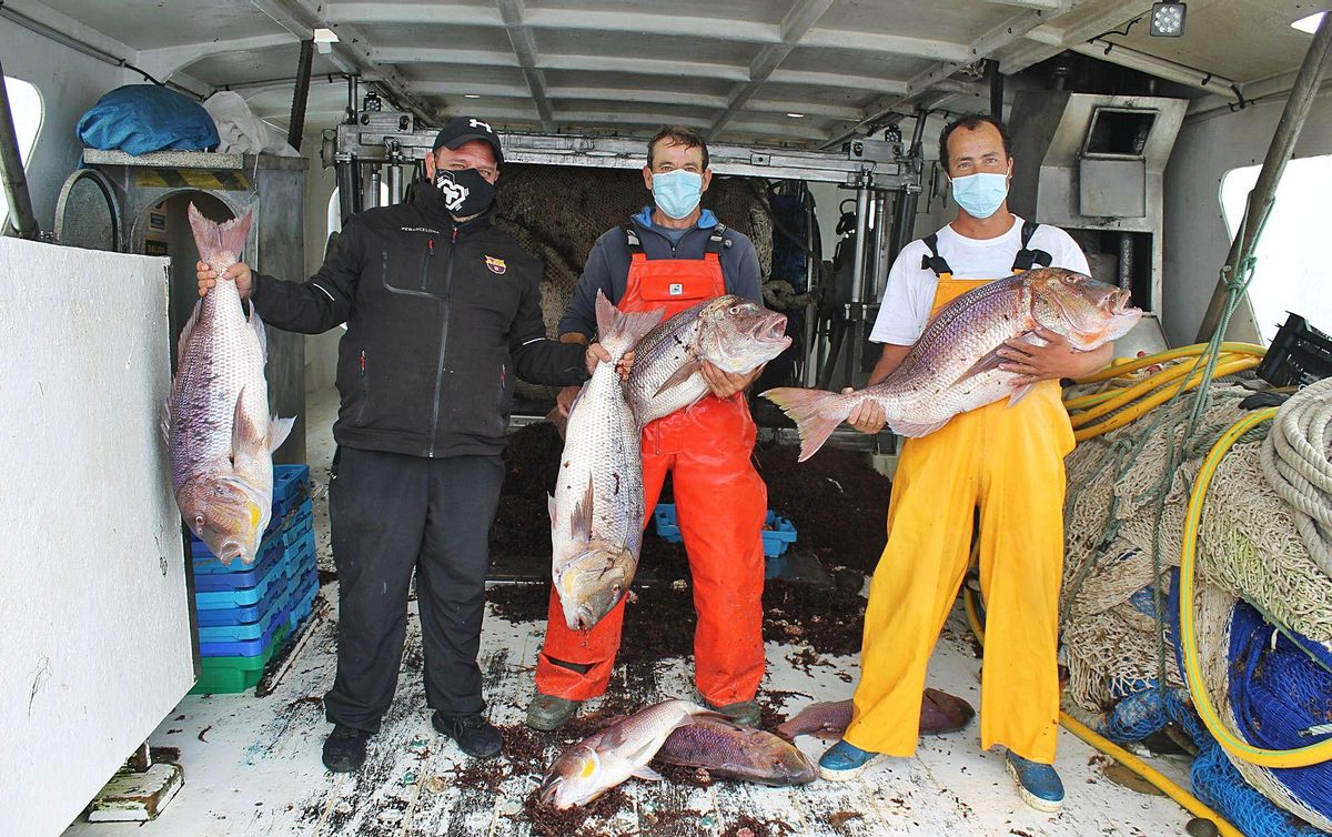 Pere Valera, Toni Riera y Toni Escandell muestran los dentons pescados. | J.,M.L.R.