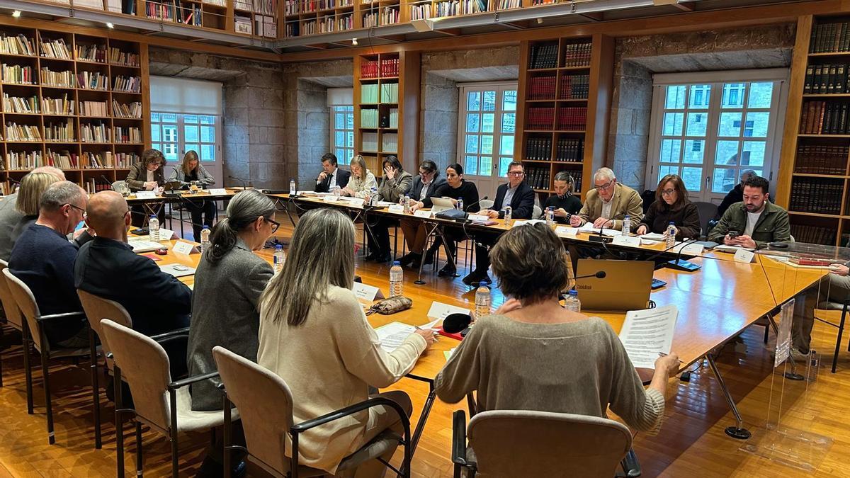 A sesión plenaria volveuse desenvolver na biblioteca do Consello da Cultura Galega