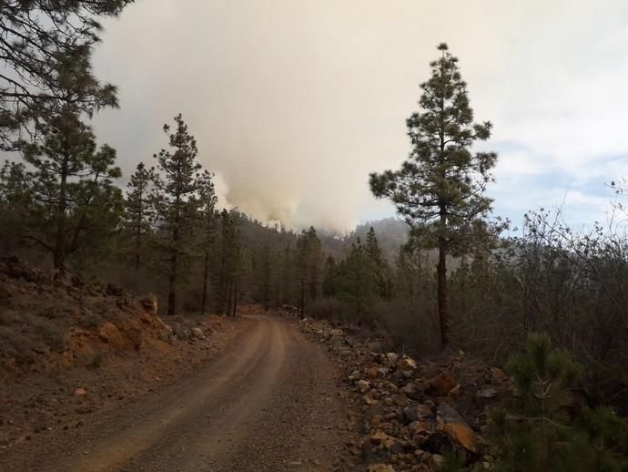 Incendio en el entorno del Paisaje Lunar