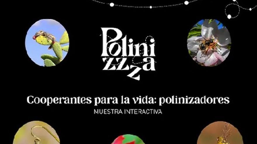 Ámbito expositivo: «Cooperantes para la vida: polinizadores»