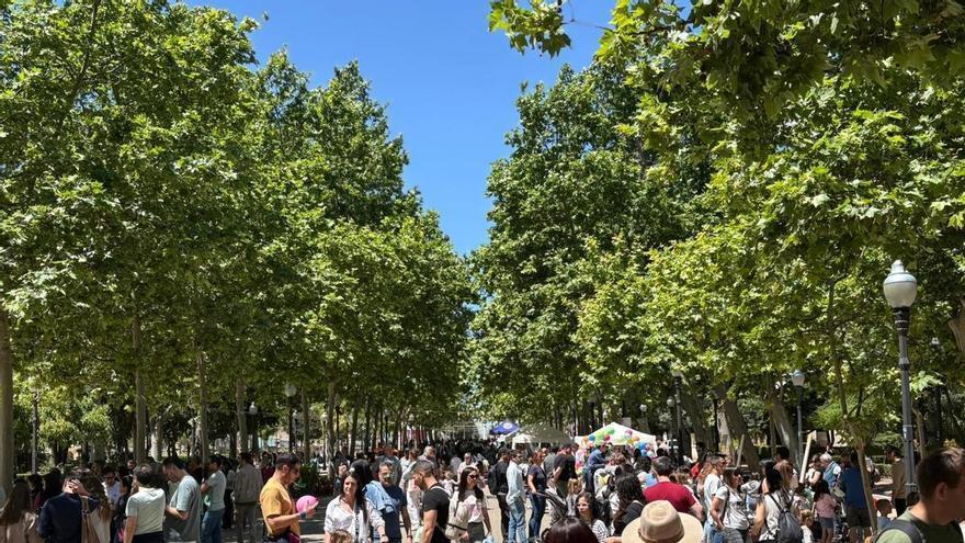 La caiguda d’una branca reobri el debat sobre l’estat del parc Ribalta de Castelló