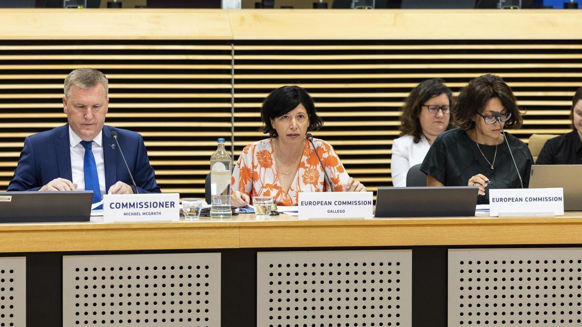 Ana Gallego, una ‘paracaidista’ al frente de la política de justicia europea