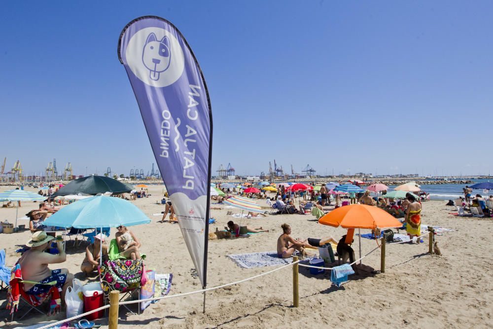 La playa para perros de Pinedo, a reventar