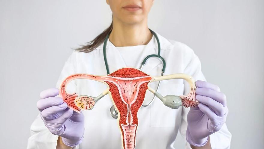 La oncóloga María Jesús Rubio, optimista con el cáncer de ovario: la medicina de precisión mejora la supervivencia y alarga la vida de las pacientes