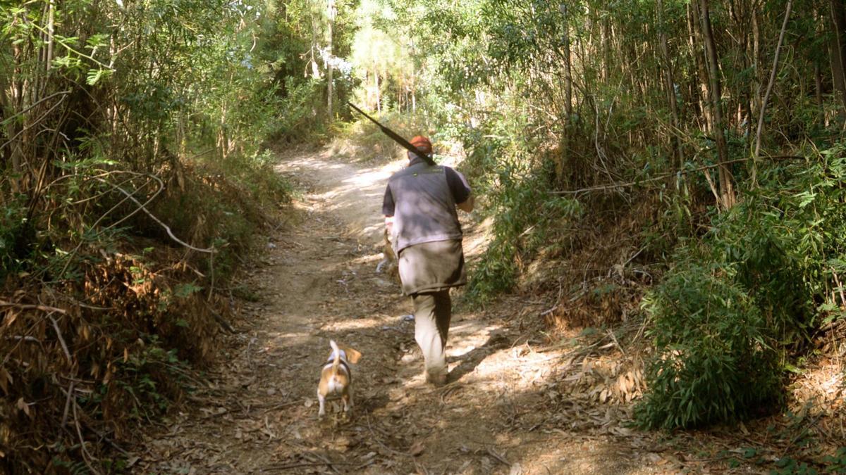 Un cazador, por el monte.