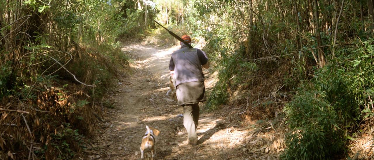 Un cazador, por el monte.