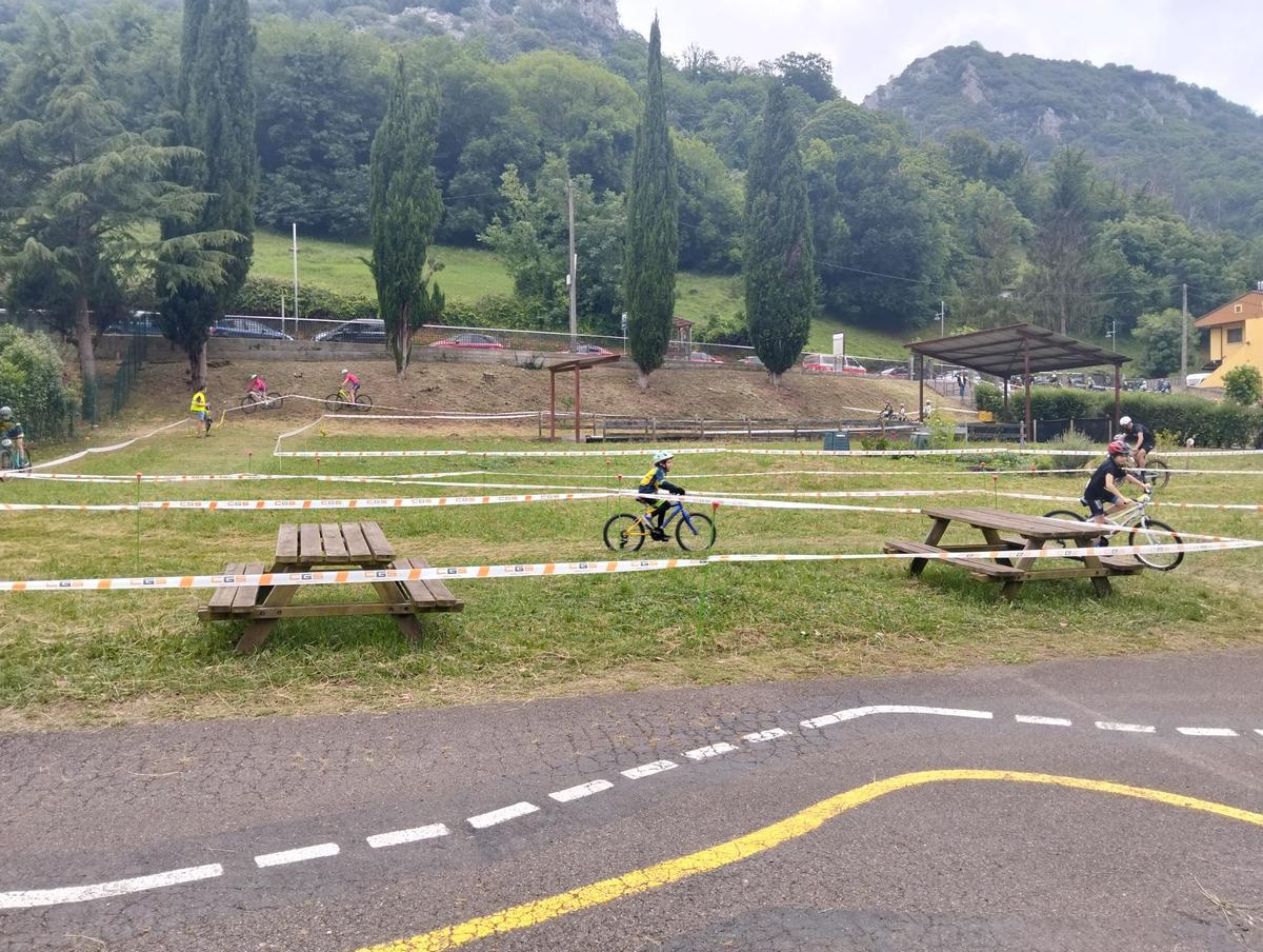 La exitosa carrera "Oso BTT Proaza" con más de 200 participantes, en imágenes