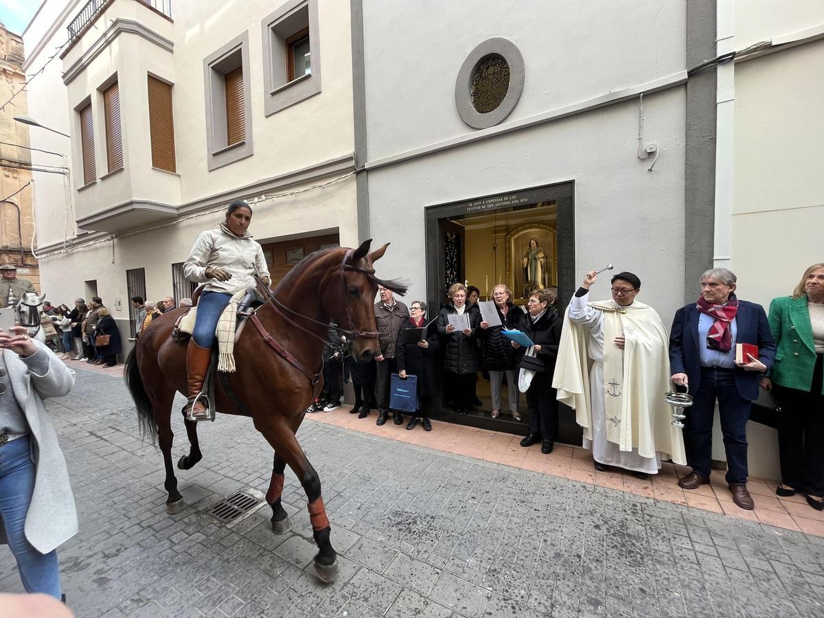 Nules celebrará este domingo, 18 de enero, su tradicional pasacalle.