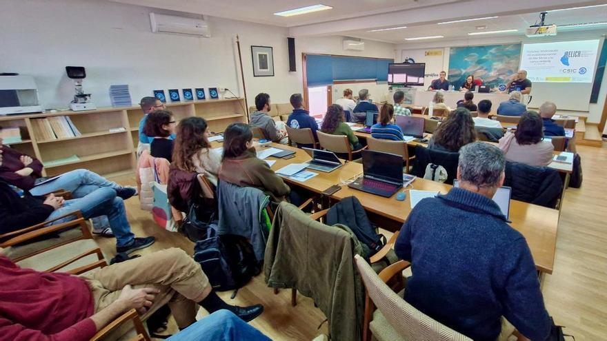 Científicos de más de diez instituciones se reúnen para crear el primer modelo integral del Mar Menor